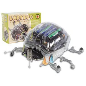 LADYBUG ROBOT