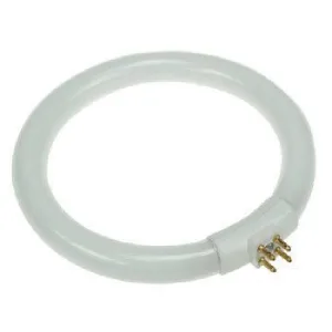 Circular Neon Lamp 12W
