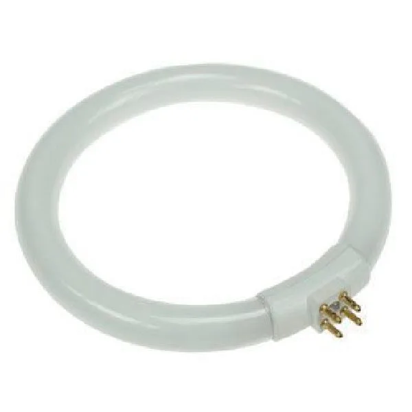 Circular Neon Lamp 12W - Image 1