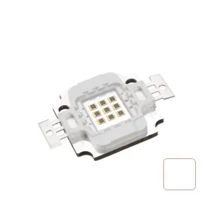 WHITE LED 10 W