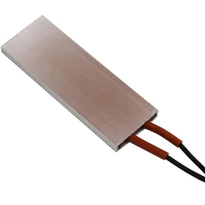 PTC Heater - 220 Vac - 80°C