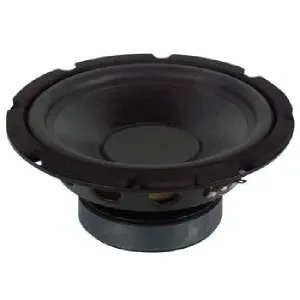 WOOFER 10"