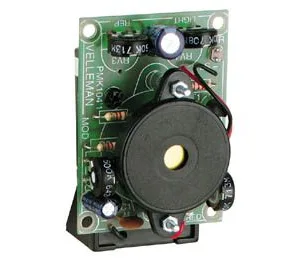 Electronic cricket