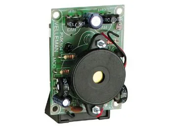 Electronic cricket - Image 1