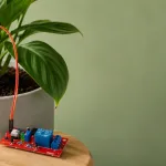Soil Moisture Sensor